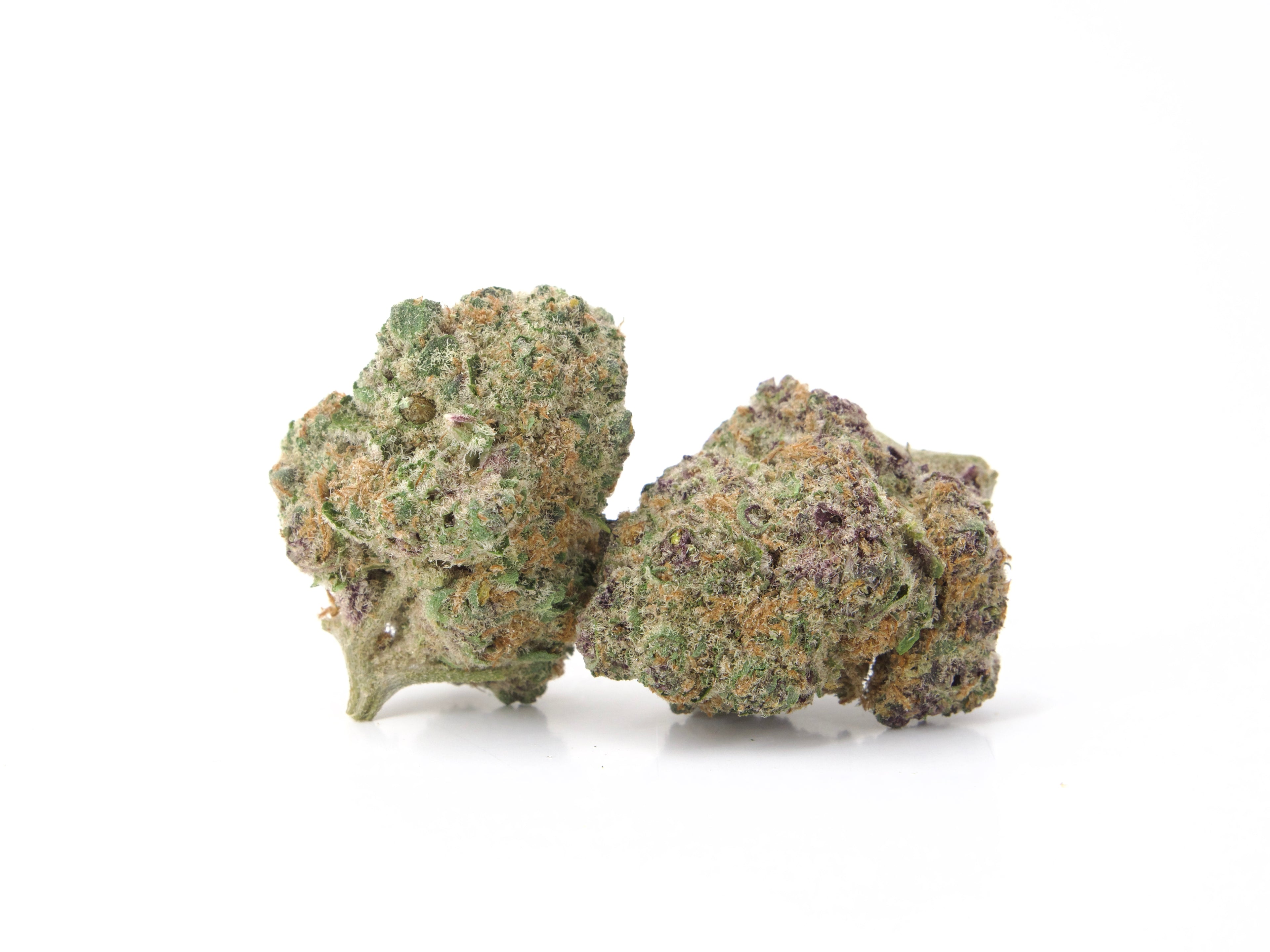 Flower - THCA BUD